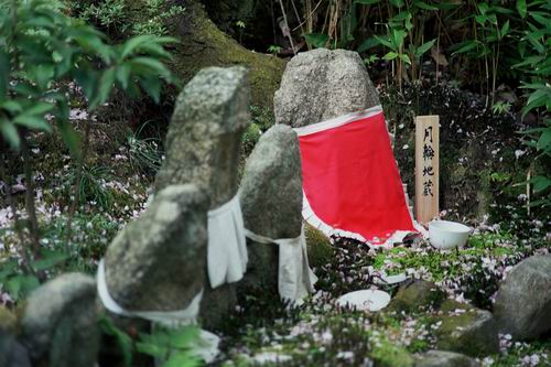 At Ryoanji Temple