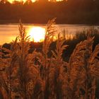 at sunset on the river