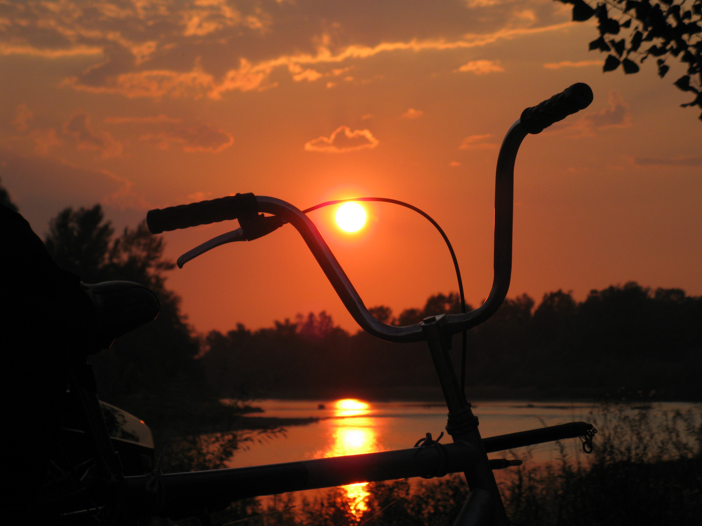 at sunset on the river I