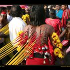 at Thaipusam XVI, Batu Caves, near Kuala Lumpur / MY