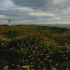 At the Ayrshire Coast, III