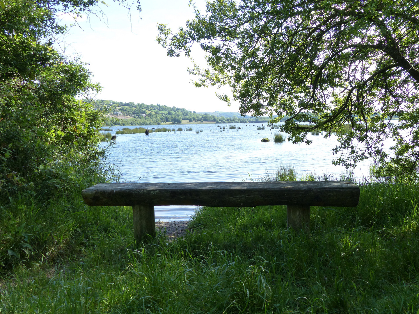 At the bank of River Lee