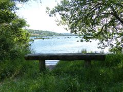 At the bank of River Lee