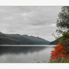 At the Banks of Loch Lomond