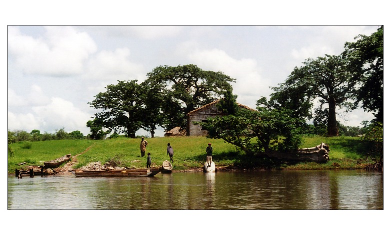 at the banks of the Gambia River