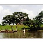 at the banks of the Gambia River