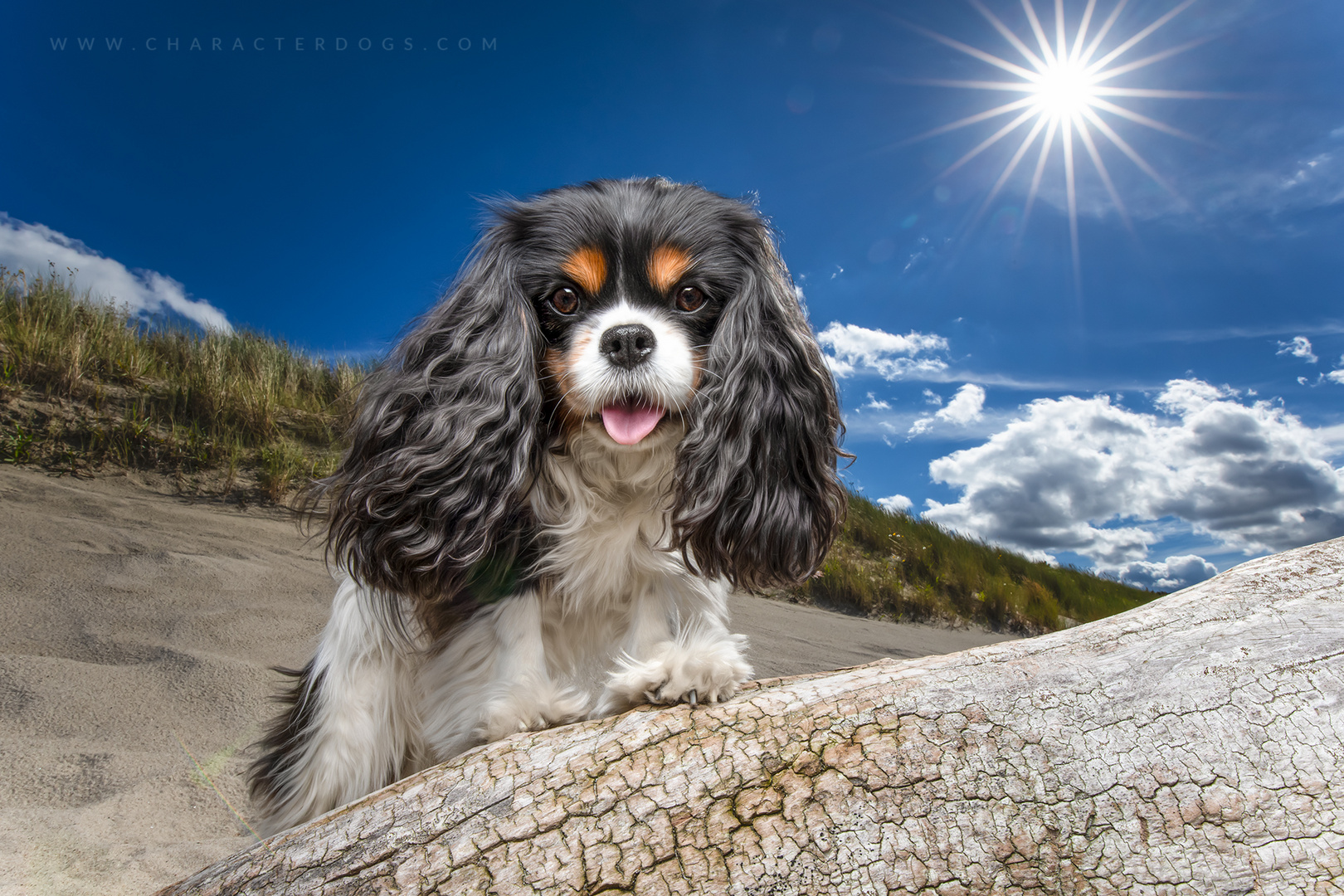 At the beach