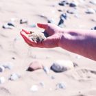 at the beach