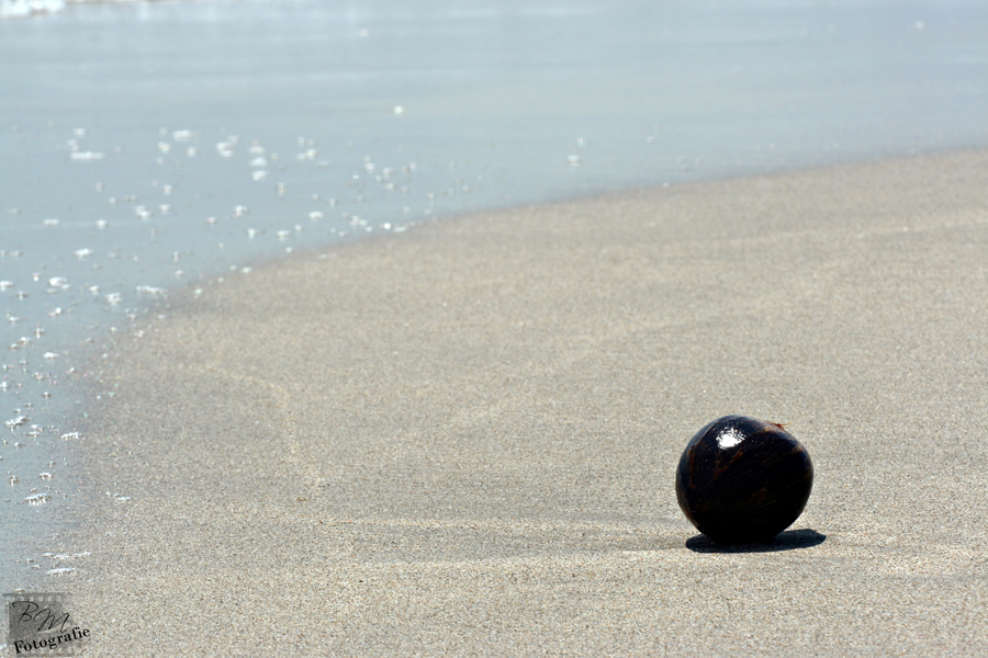 at the beach