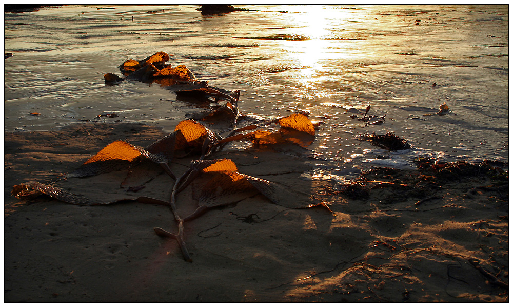 At the beach...