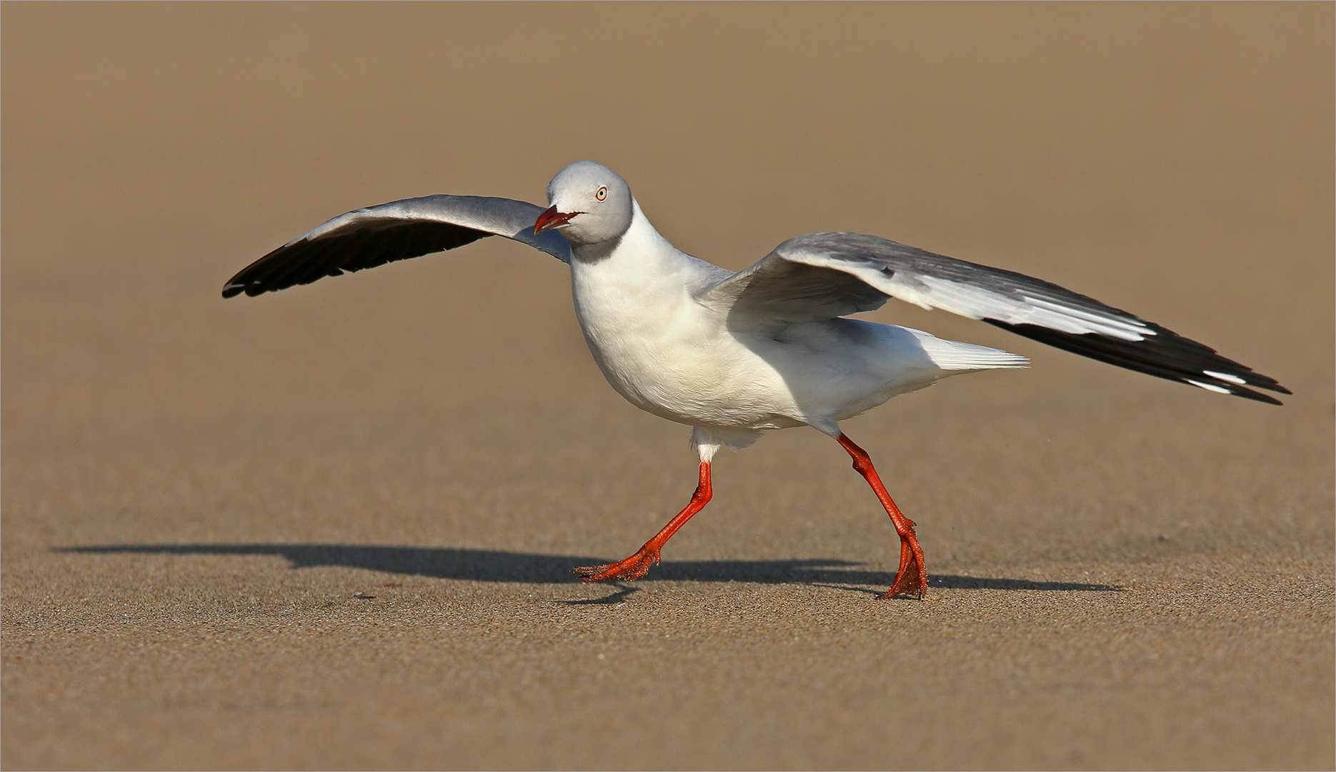 At the beach