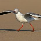 At the beach