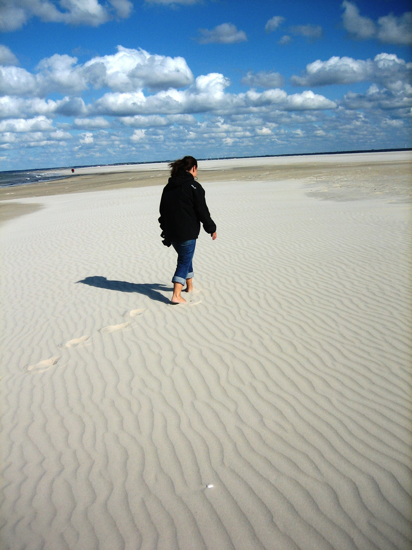 at the beach of Fanö DK