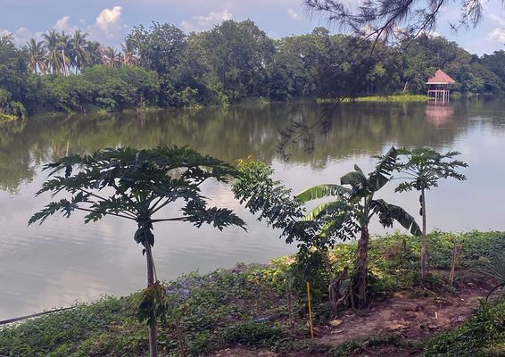 At the Bueng Chawak lake
