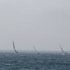 At the coast in Figueira da Foz