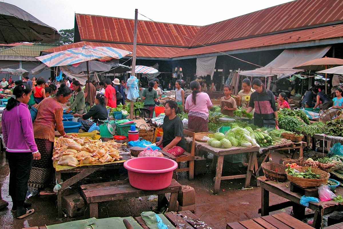 At the daily market in Pakse