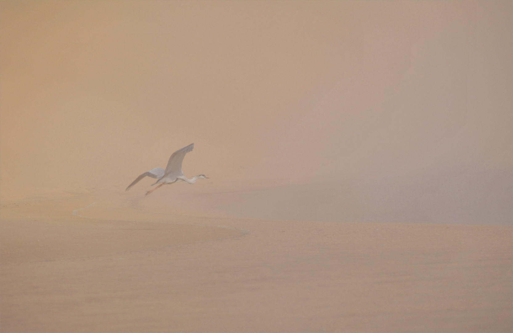 at the edge of the Namib