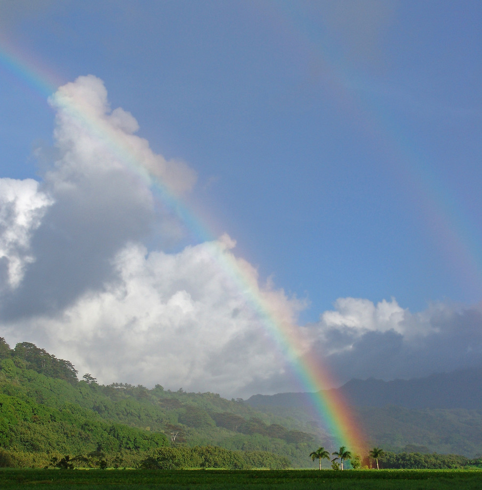 At the end of the rainbow...