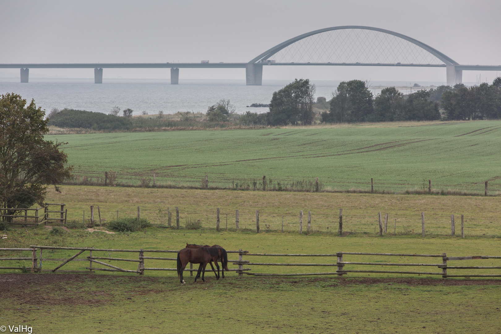 at the Fehmarnsund Bridge