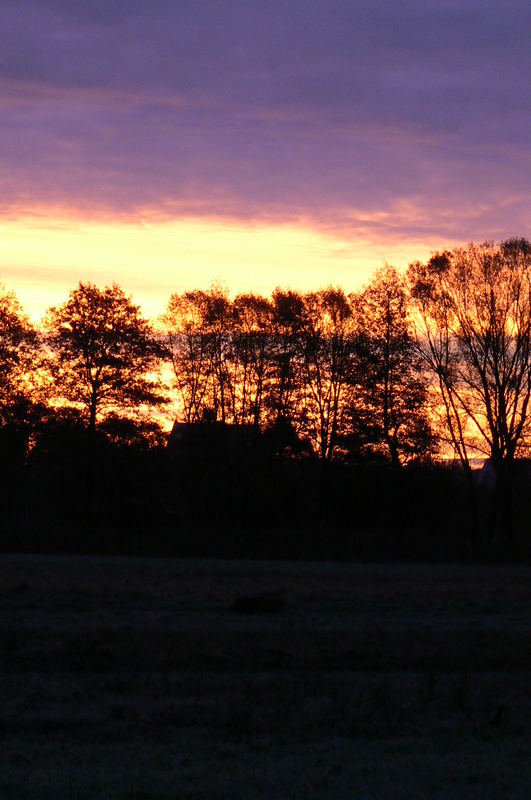 at the fields