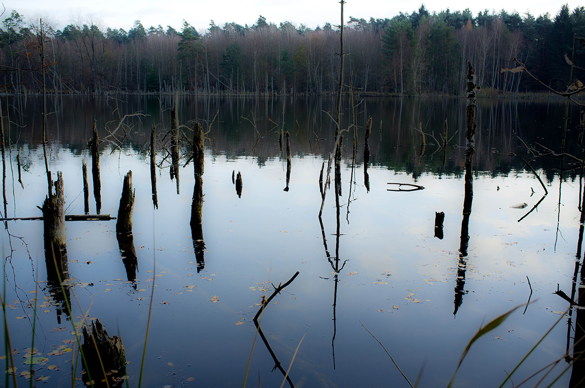 At the "golden pond"