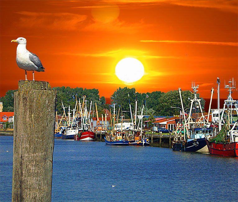 At the Harbour