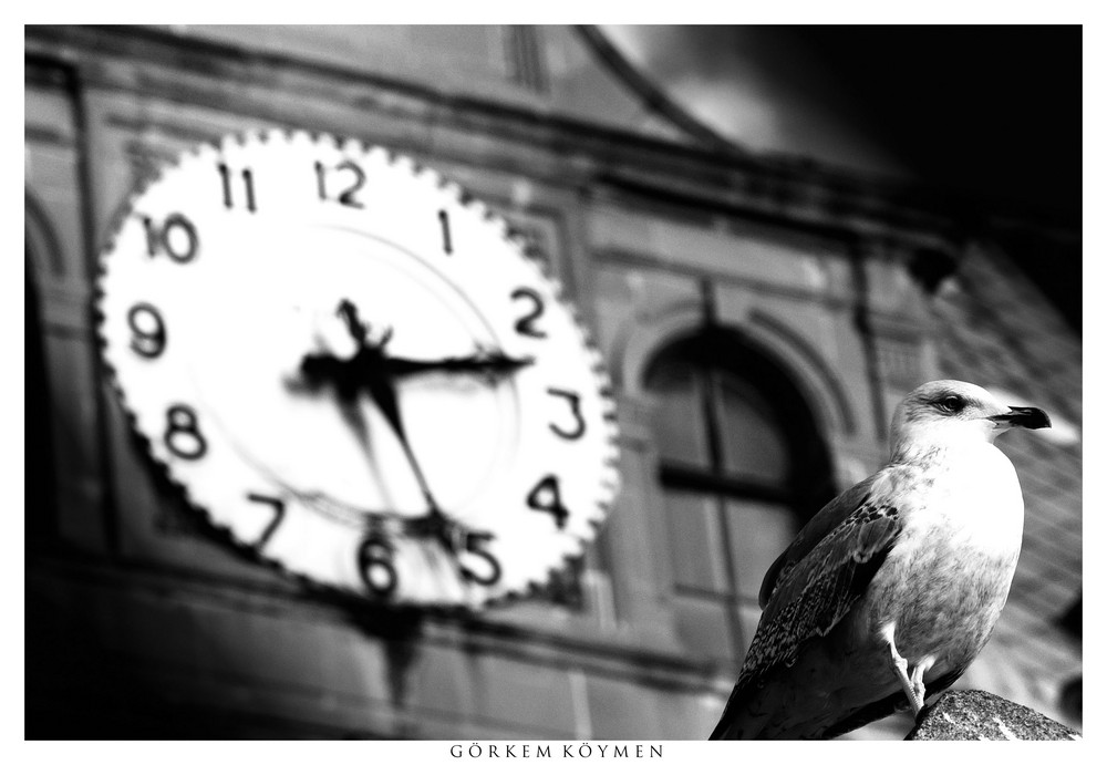 at the Haydarpasa Train Station - II