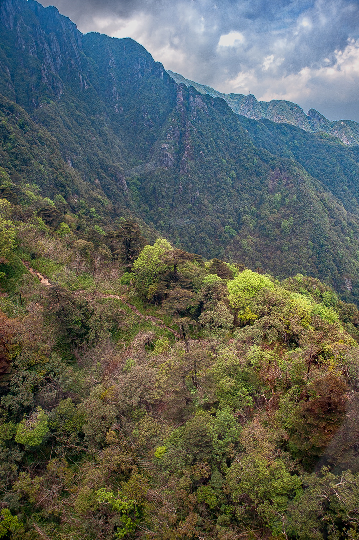 At the hillside of Fansipan