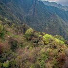 At the hillside of Fansipan