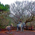 At the Khai Dinh mausoleom