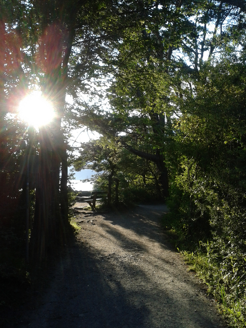 at the lake