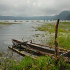 At the lakeside of Danau Buyan