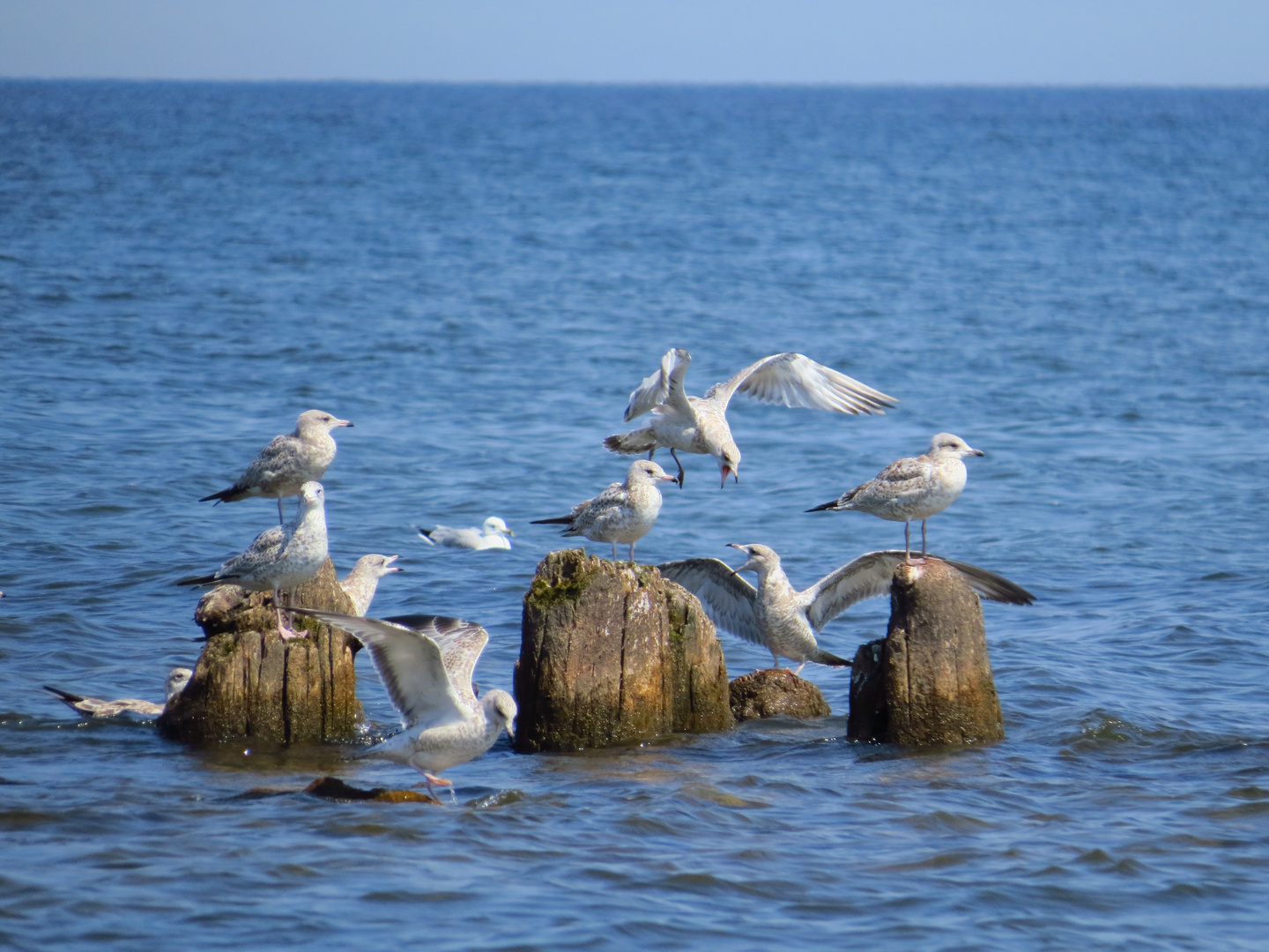 At the michigan sea