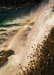 At the Niagara Falls