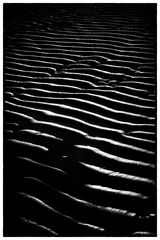 At the North-sea Coast #3