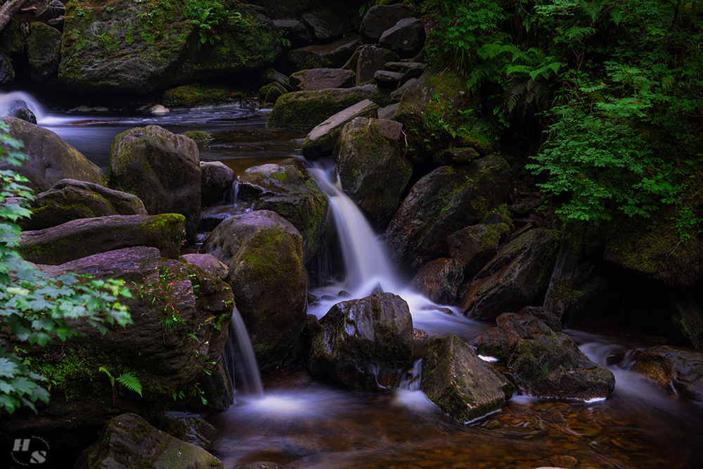 At the Owengarriff River