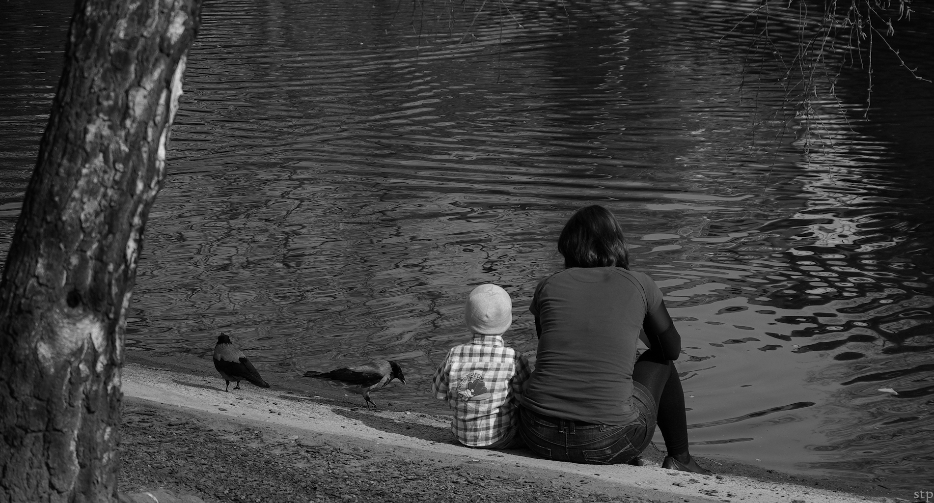 at the pond