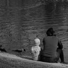 at the pond