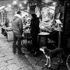 At the popular market