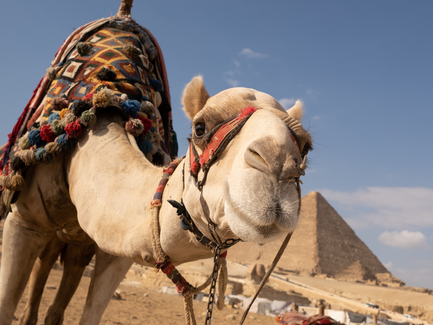 At the pyramids