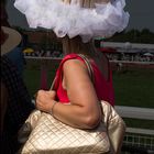 At The Races