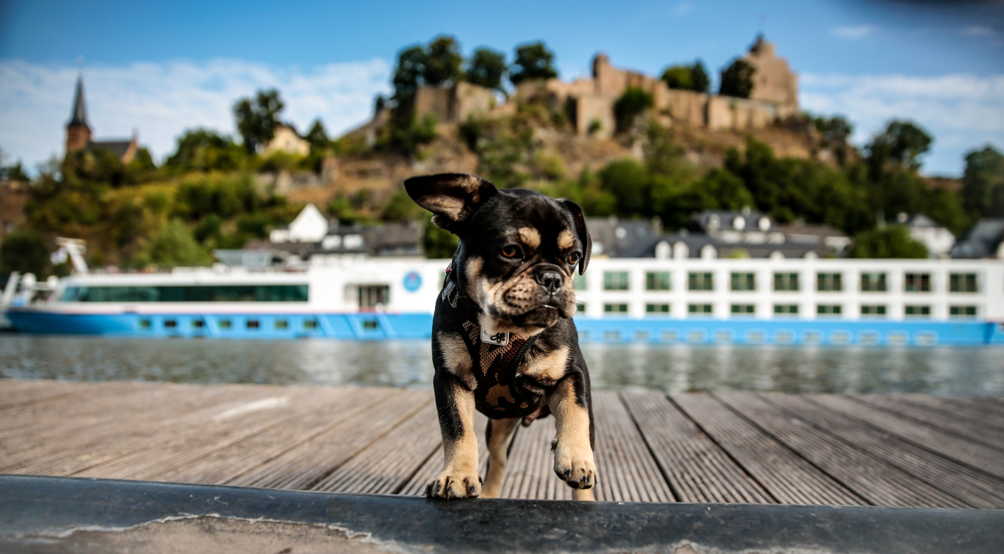  At the river