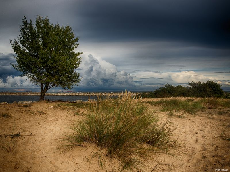 At The Seaside 1