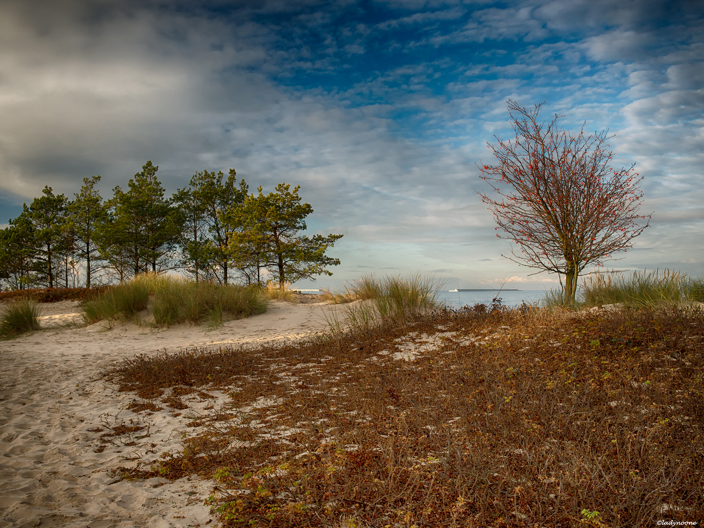 At The Seaside 2