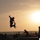 At the Skate Park in Santa Monica