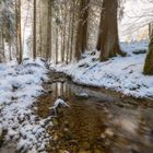 At the snowy creek