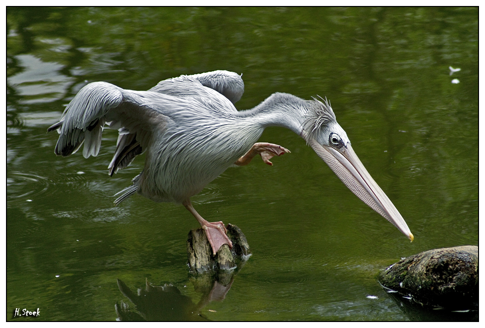 at the Taipei Zoo