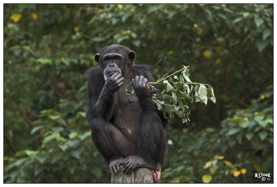 at the Taipei Zoo