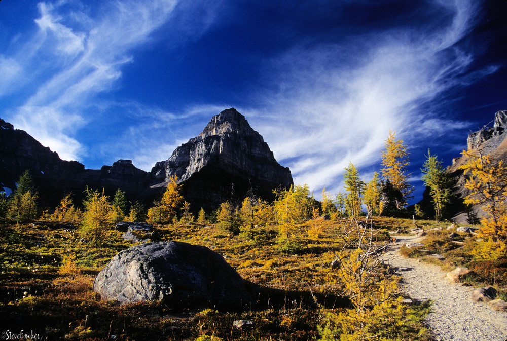 At the Tree-Line, Larch Valley