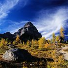 At the Tree-Line, Larch Valley